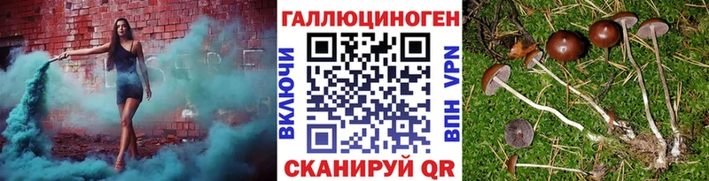 Псилоцибиновые грибы GOLDEN TEACHER  Пудож 